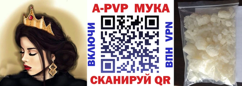 Альфа ПВП СК Вологда