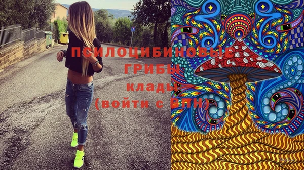 тгк Алексин