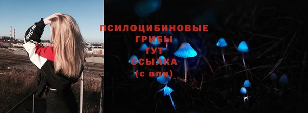 тгк Алексин