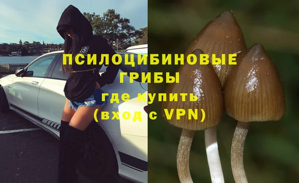тгк Алексин