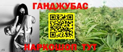 индика Можга