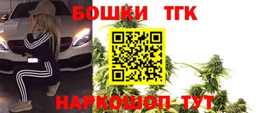 индика Можга