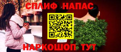 индика Можга