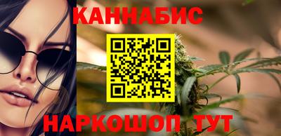 индика Можга