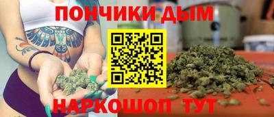 индика Можга
