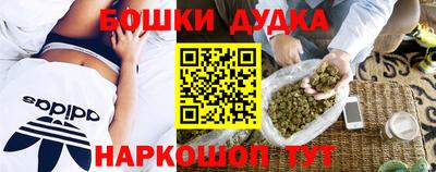 индика Можга