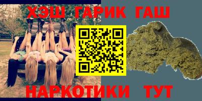 индика Можга