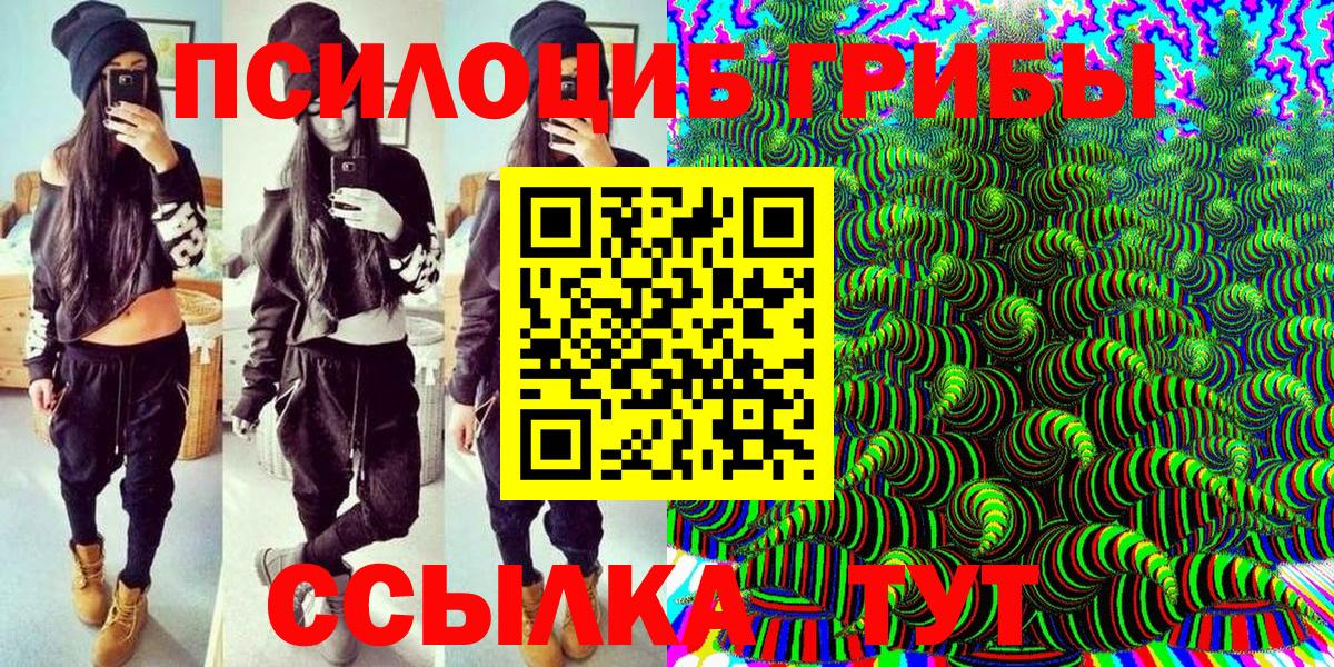 Галлюциногенные грибы прущие грибы Вологда