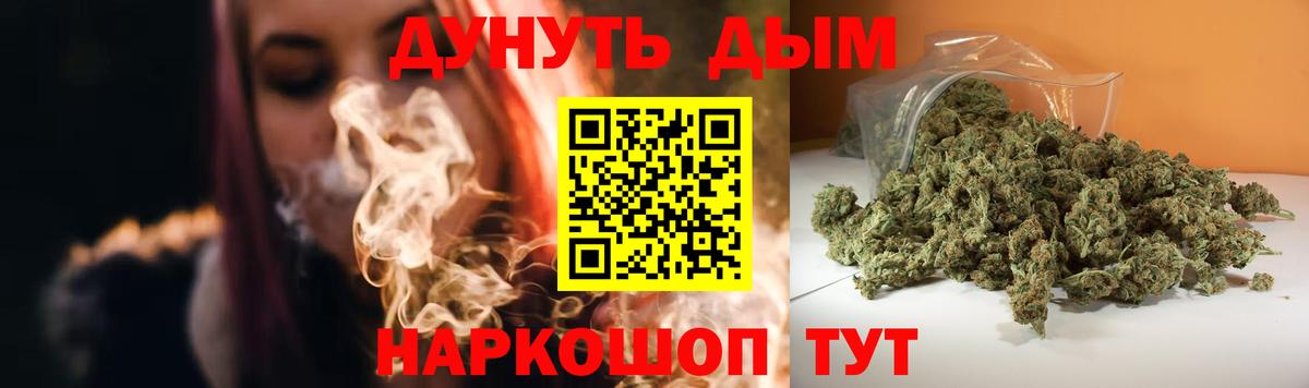 Конопля планчик  Вход с VPN  Вологда  Каннабис конопля  Канабис семена 